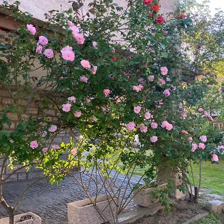 Holiday home La Curcina *